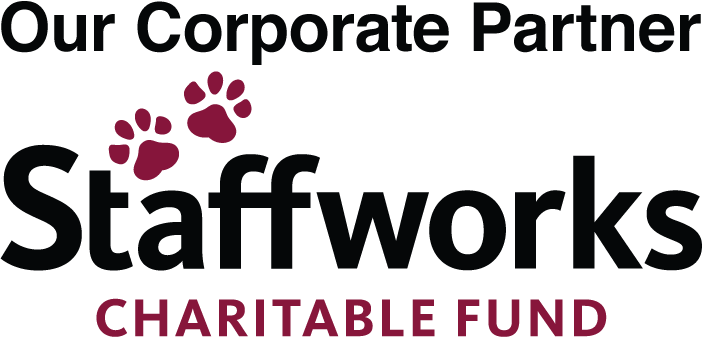 Sponsored by Staffworks Charitable Fund