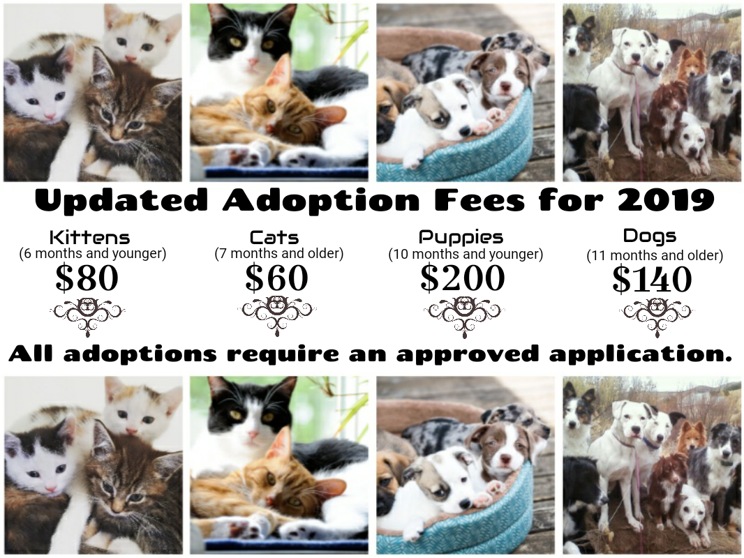 Adoption Info Herkimer County Humane Society